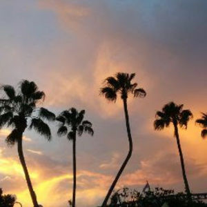 Meet your Posher, Das